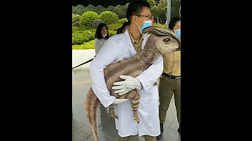 Dinosaurs Appear At The 2021 From China ظهور الديناصورات في 2021 من الصين Shorts 