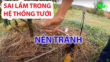 Khắc phục Hậu quả Sai Lầm khi Chọn Béc Tưới Sâu Riêng - Kinh Nghiệm Thực Tế | VNPLANT
