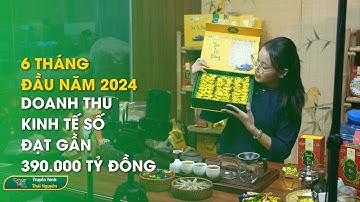 6 tháng đầu năm 2024, doanh thu kinh tế số Thái Nguyên đạt gần 390.000 tỷ đồng | Thái Nguyên TV