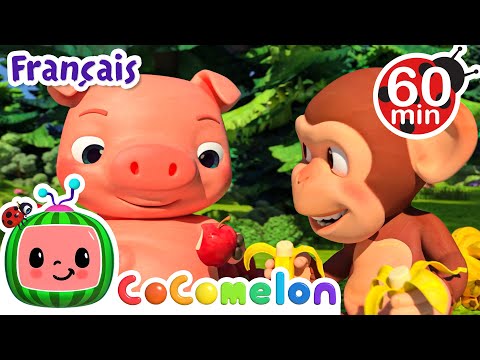 Putar Des pommes et des bananes - CoComelon en Français