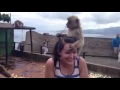 Girlfriend Attacked By The Rock Of Gibraltar Monkeys | Travel Vlog