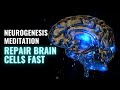 Grow New Brain Cells Through Neurogenesis | Repair Brain Cells Fast | Neural Oscillations Sounds