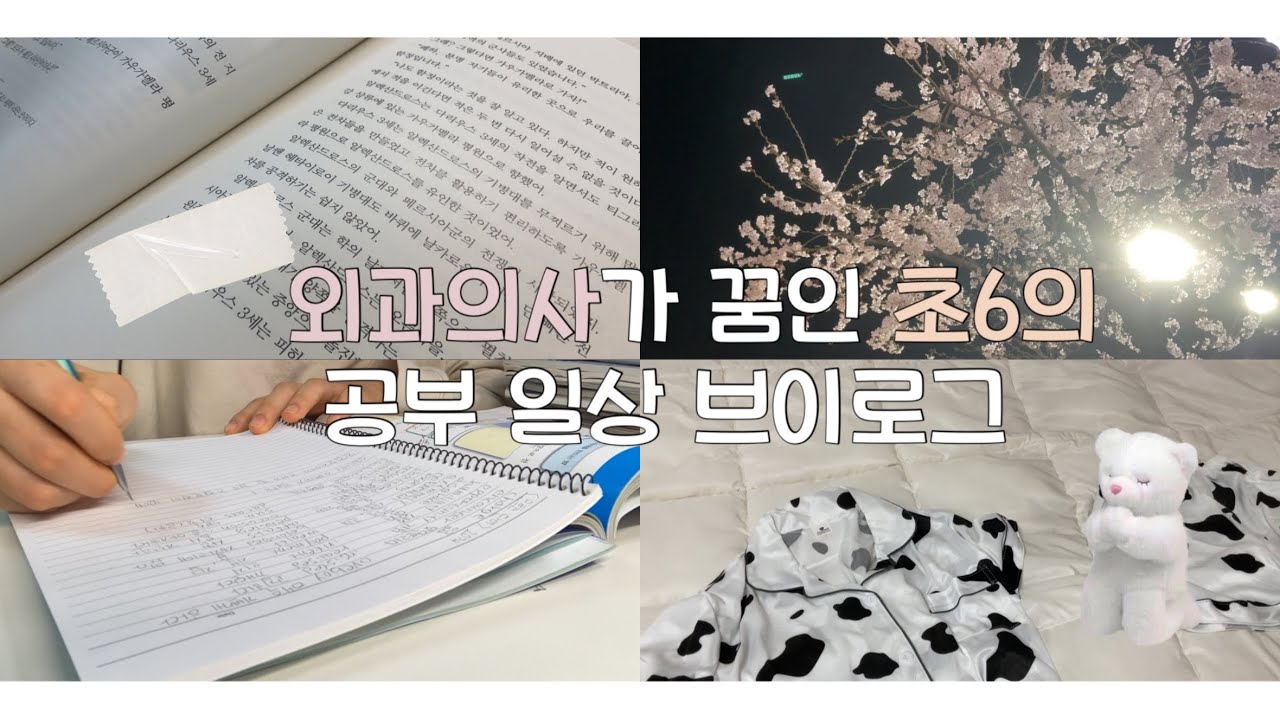 🥼외과의사가 꿈인 초6의 공부 일상 브이로그 [ 영재원 수업 🏫 / 고려대 탐방 / 공부 타임랩스 📖 / 미라클모닝 / 마라탕 ]