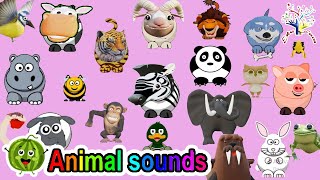 The Animal  Sounds Song A1LS || Kids Animal Songs and Nursery Rhymes|| Animal Action Song! || EduFam
