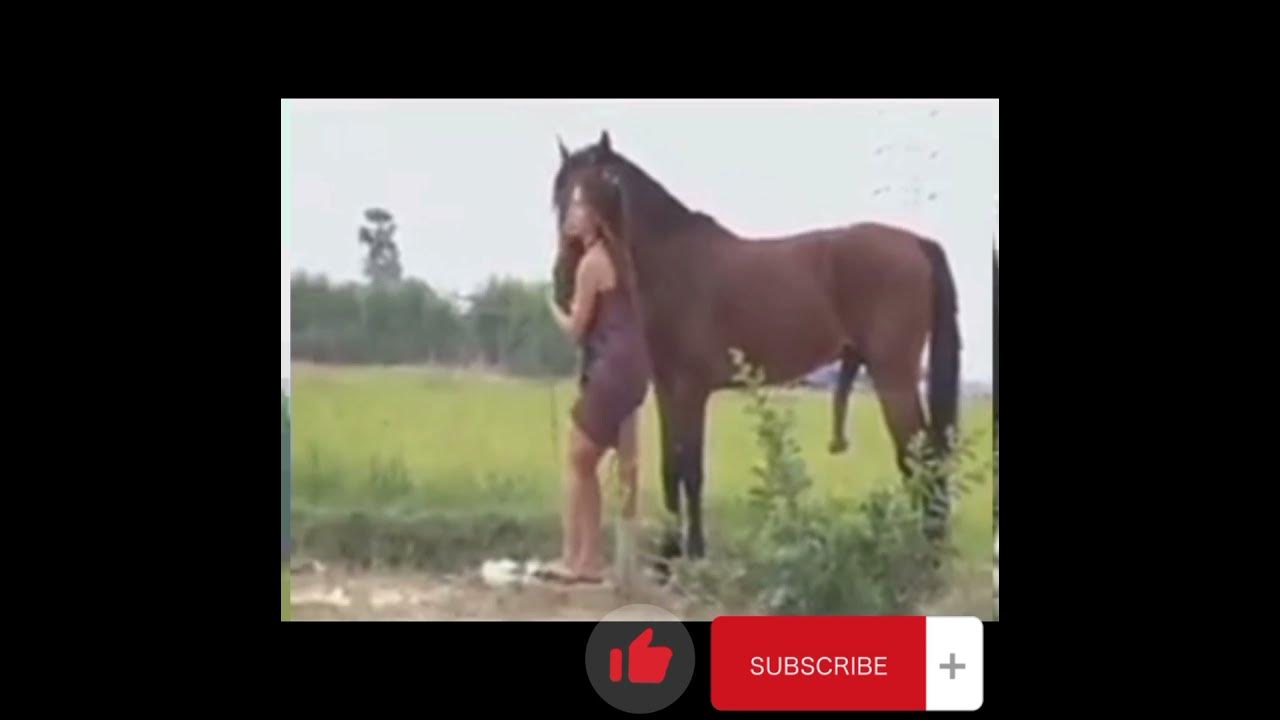 Video bokep kuda. Bokeb jessica iskandar. Video bokep kuda. Video bokep kuda. Turdubekov margozidin am kuda.