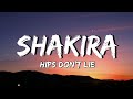 Shakira  hips dont lie