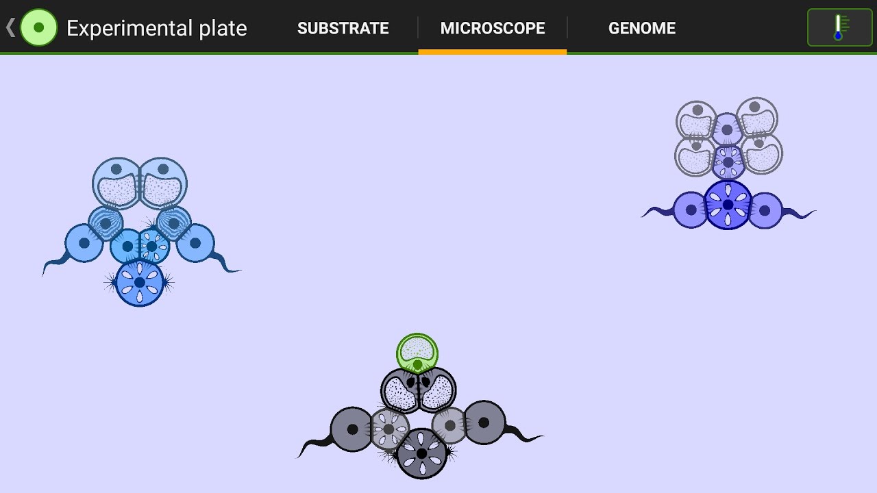 Cell Lab Challenge: Defy Gravity (Very Difficult) - Download - YouTube