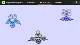 Cell Lab Challenge: Defy Gravity (Very Difficult) - Download