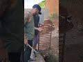 Ladrao Ataca Novamente