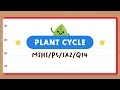 PSLE Science Made Simple: Plant Cycles Quiz