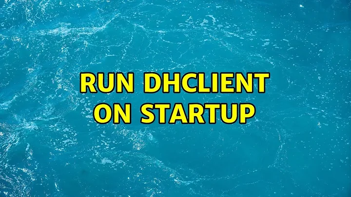 Run dhclient on startup
