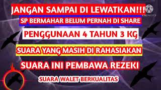 SP BERMAHAR  4 JUTA||SUARA PANGGIL WALET TERBAIK||SUARA INI MASIH DI RAHASIAKAN||4 TAHUN 3 KG