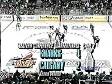 SJ/Cal Game 7 goals,saves,hits 94-95 playoffs