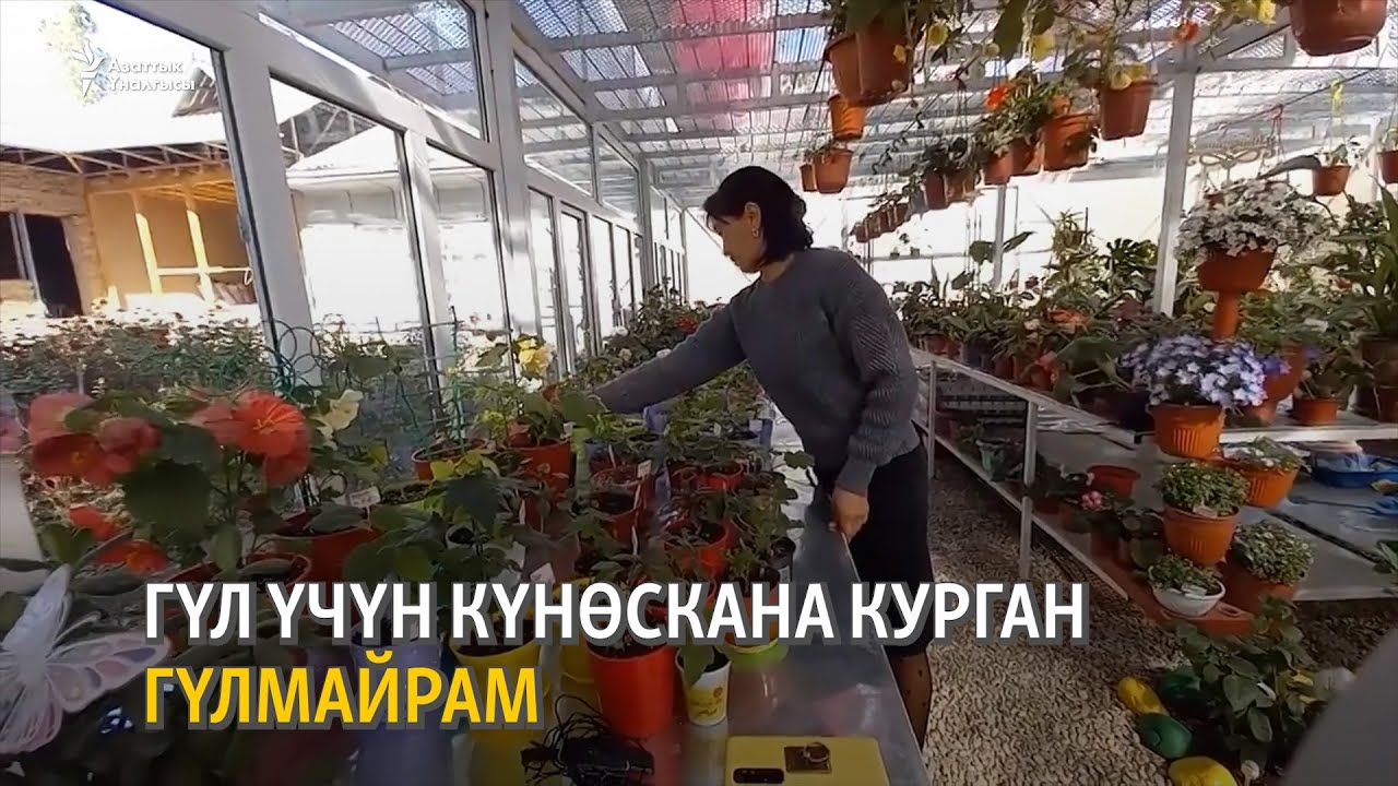 Гүл үчүн күнөскана курган Гүлмайрам