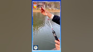 Cần câu lure cán gỗ mini #fishing #cancaulure #cancauluremini #cauca #taphoadocau #dammecauca