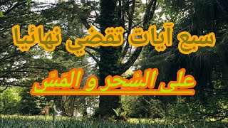 سبع آيات تقضي نهائيا على السحر و المس