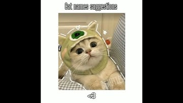 Cat names suggestions... - By Lini #edit #aesthetic #cats #catnames #fypシ