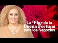 La Flor de la Buena Fortuna para los Negocios. Mizada Mohamed T02E21