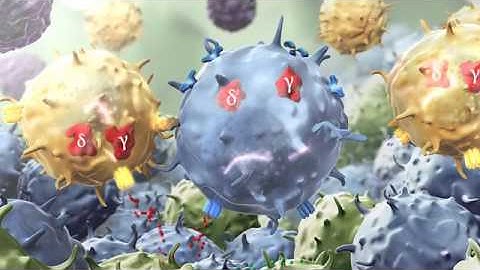 Infinity PI3K-Delta,Gamma Inhibition