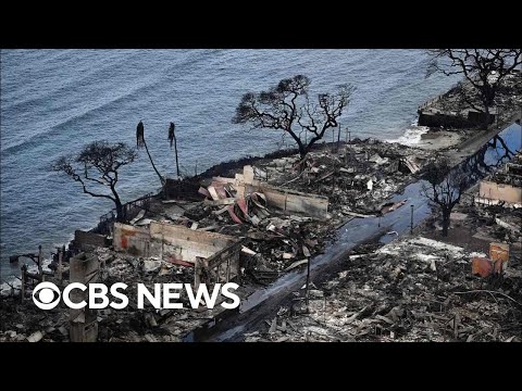 Βίντεο: Γιατί να πάτε στο lahaina;