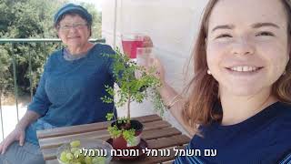 לזכרה של מרסל טליה