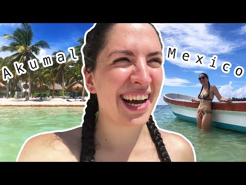 akumal day trip from playa del carmen, mexico | snorkeling, sea turtles, and more!