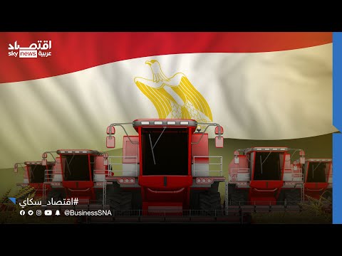 عضو الجمعية المصرية للاقتصاد والتشريع علي الإدريسي مصر تسعى لتحقيق الاكتفاء الذاتي من القمح