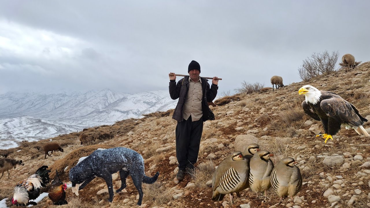 The endless whiteness of the Zagros ❄️ | A true story of the nomads' resistance in the cold