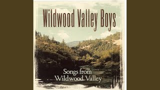 Video thumbnail of "Wildwood Valley Boys - Jeremiah's Callahan's Medicine Show"