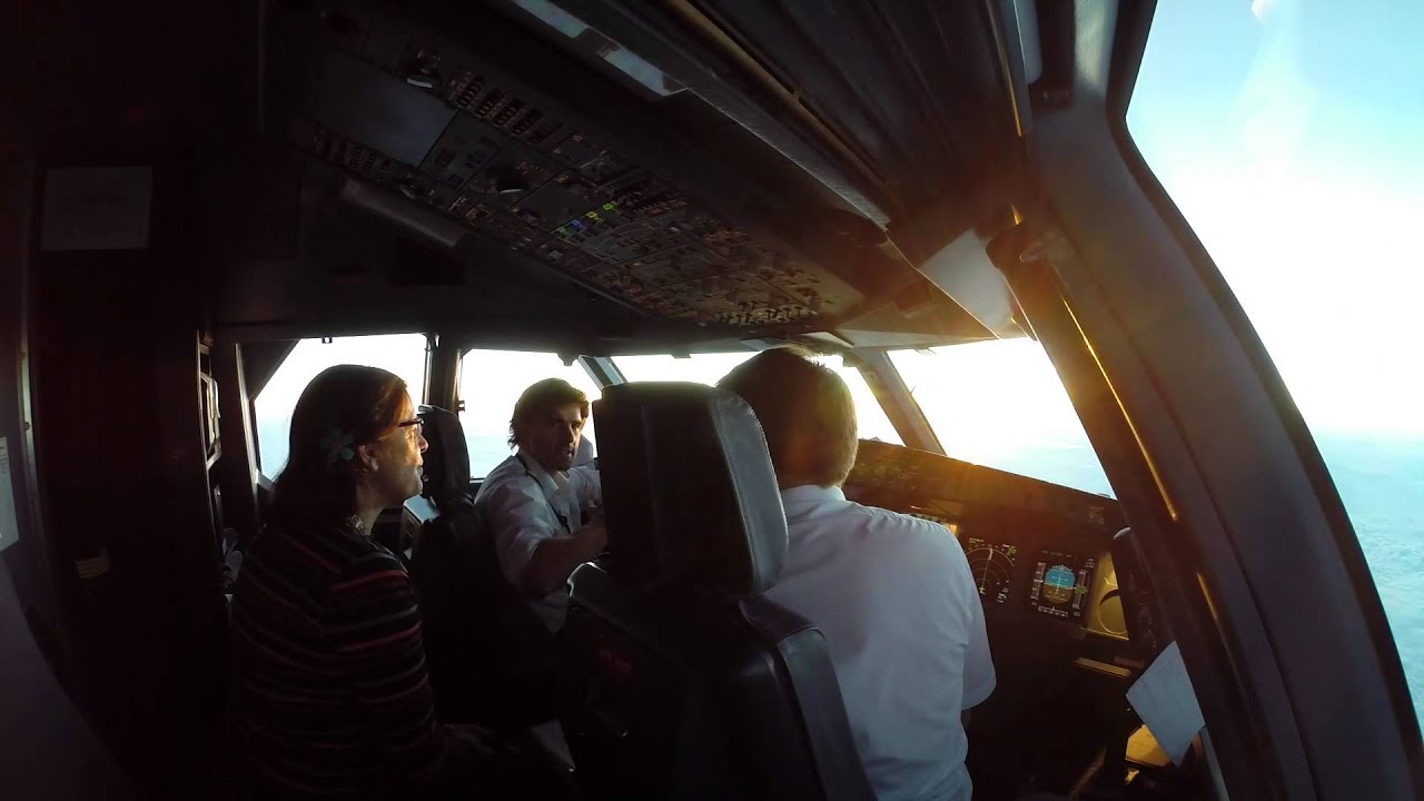 Fly. A Metaphor for Life.