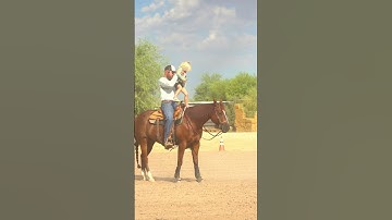If you dream it, you can do it. #family #reining #reiningmasterclass
