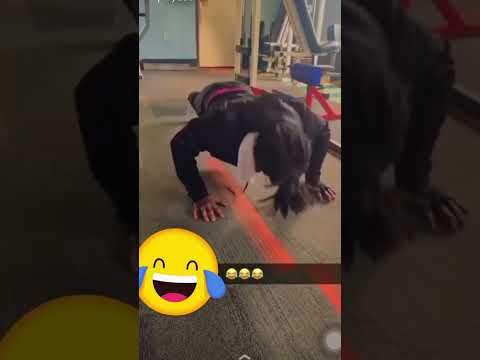 YoungBoss gym🏋️💪🏽😂 (abonneer/subcribe🙏🏽