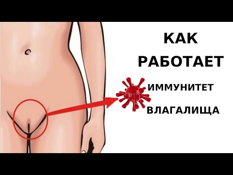 Video: Cista Vs Vārīšanās: Kāda Ir Atšķirība? Identifikācijas Padomi