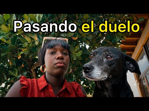 🇨🇺Así es MI VIDA en Cuba | Pasando el duelo 🥺