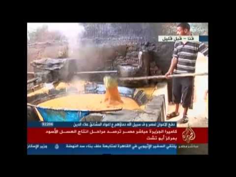 رصد مراحل انتاج العسل الأسود بمركز أبو تشت بقنا