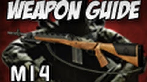 Black Ops: M14 Weapon // Gun Guide - Multiplayer Review - Call of Duty