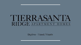 Skyline Floorplan: 1 bed/1 bath, 735 Sq. Ft.