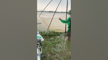 Bắt cá mùa lũ/fishing in flood season