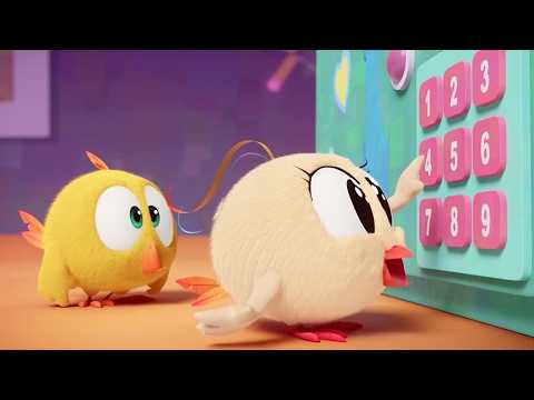 Chicky's Safe | Where's Chicky? | Cartoon Collection in English for Kids | New episodes
