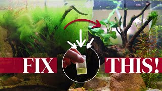 Ecosystem COLLAPSE 💥 in a No Water Change Tank: Lessons Learned 💡