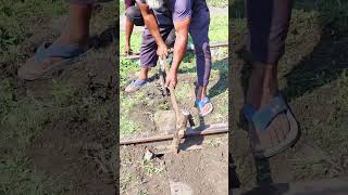 small pin bigest duty