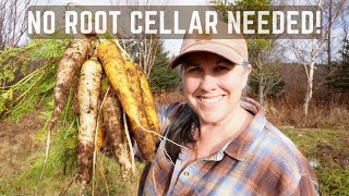 Store Carrots Like A Pro Without A Root Cellar
