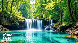  Therapy soothes The Nervous System And Refreshes The Soul Relaxing  9