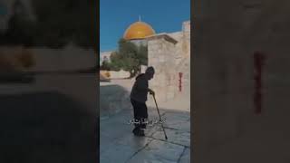 القدس الجميلة