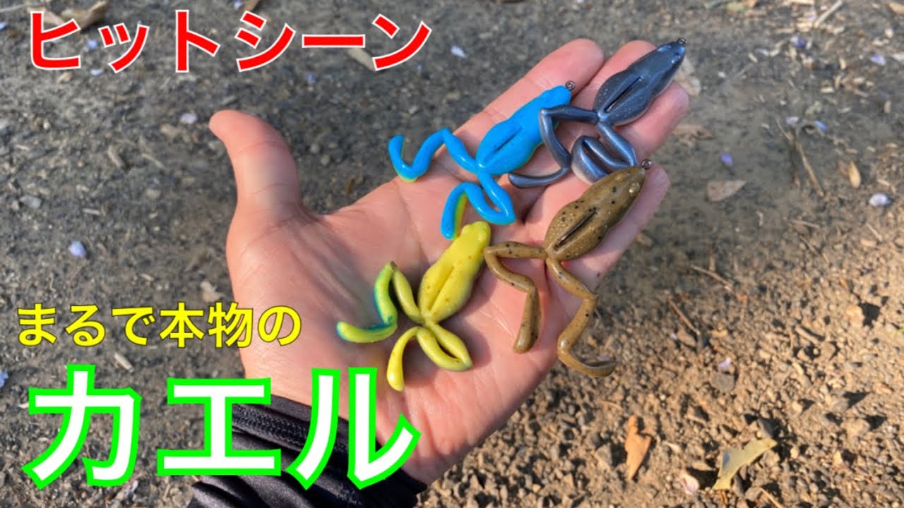 カエルルアー初心者でも釣れました ジャッカルクローンフロッグ Youtube