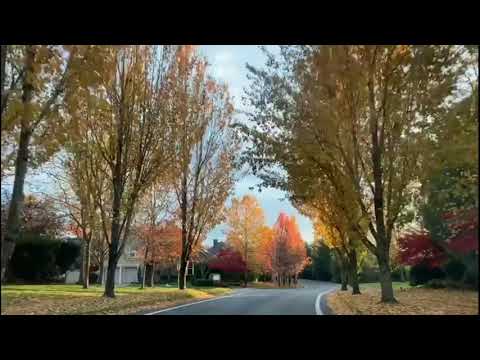 Fall colors in USA 2020 | Redmond - Washington | Autumn road trip