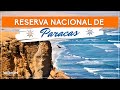 ✅ RESERVA NACIONAL DE PARACAS ✅ COMO LLEGAR A PARACAS DESDE LIMA | RESERVA NACIONAL DE PARACAS ICA