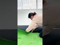 Day 3 | Turning an empty space into an edible garden