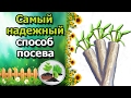 🌱СПОСОБ ПОСЕВА СЕМЯН, КОТОРЫЙ НИКОГДА НЕ ПОДВЕДЕТ. Рассада без земли, в самокрутках.