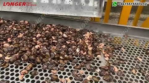 Cashew Nut Cracker Machine, Cashew Shelling Machine, Cashew Processing Machine